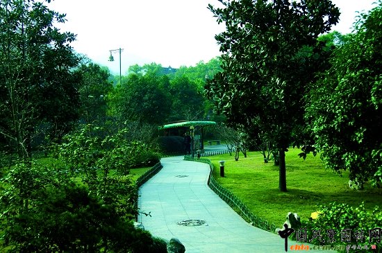 �����׷�Ϧ�ա�������犾��c(di��n)ֲ��䌍(sh��)�{(di��o)������