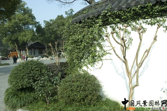 �����׷�Ϧ�ա�������犾��c(di��n)ֲ��䌍(sh��)�{(di��o)������