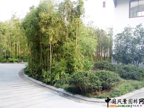 �����\�����ǅ^5A�����^��������