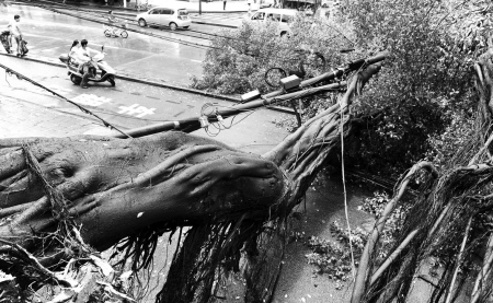 ���ݣ�һ���ꡰ�������ٚq���Ř�