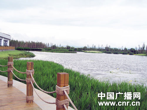 �c������D