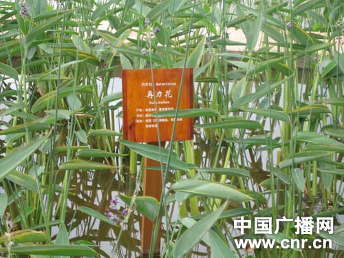 �c������D