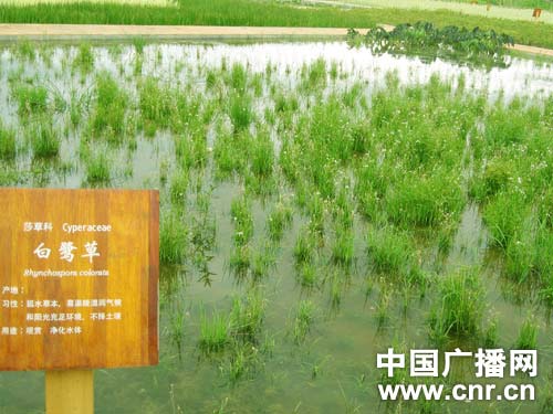 �c������D