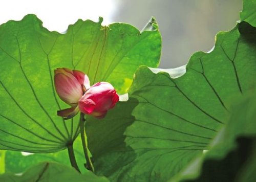 �c������D