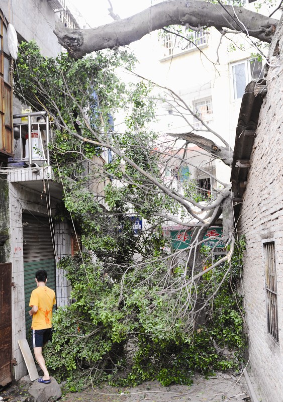 �B�T��350����Ř�֦�ɔ��� �M�n���׌�·��