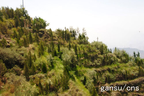 �m�ݣ���ɽ�����G����e33.3�f�� �þGɫ׌���к���