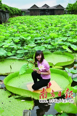 �V�ݣ�������ɏˮ�����nŮ ����50����]���}