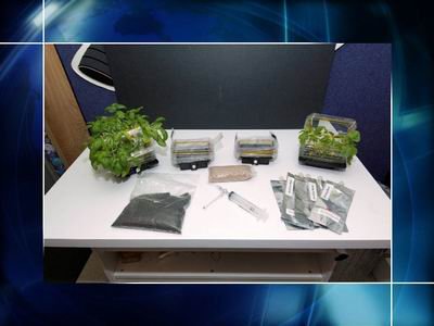 ��̫���r(n��ng)��������ֲ������������@�àI�B(y��ng)