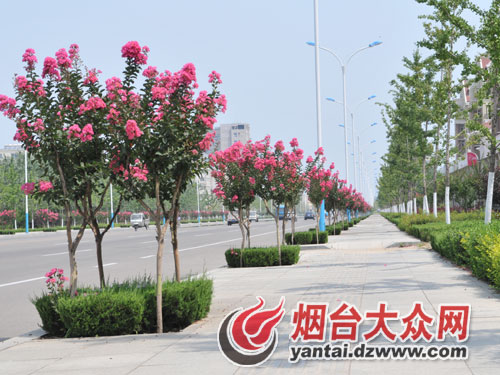 ���ڣ����조��ޱ�ǡ� ��6�f��`���R·�ɵ�