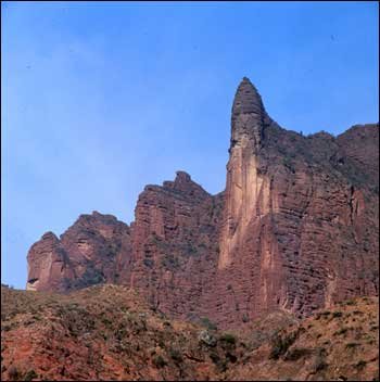 �M�D������������ɭ�ֹ��@ 