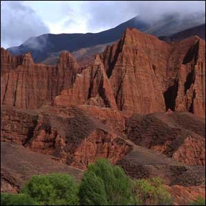 �M�D������������ɭ�ֹ��@ 