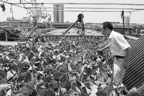 �㽭�������л��@���Εr(sh��)�G�M���A