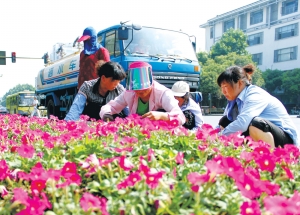 �P�ݣ��G�������Q���� �����箋����