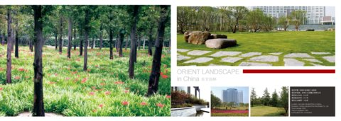 �K�ݽ��u���P�e˹���Ƶ�