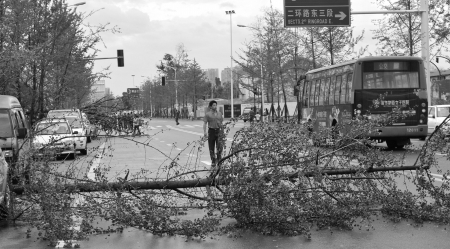 �ɶ���һҹ���L(f��ng)���ꡰŪ������40���е���