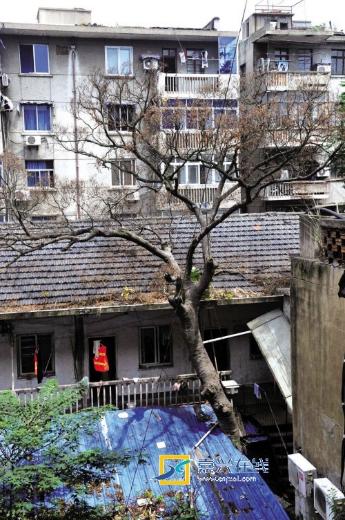 �㽭�����dƽ��Ū����������һ�� �˂��ڴ����E���F