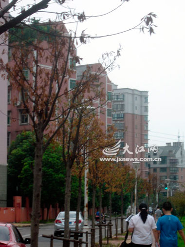 �ϲ���Ҫ���ľ���� �⿿��ˮ���򣨈D��