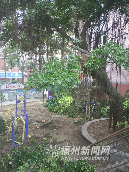 ���ݣ��Ř�Ӱ푲ɹ� �e���I(y��)��䏔���֦�����ӷ��h