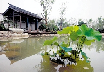 ���݈@��νС����@�����͡����߂������P