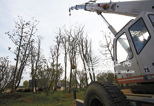 �����ˆT���ô������ؙC��������