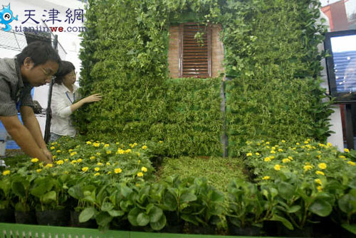 ���w�G��Ч��