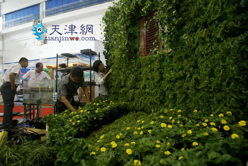 ���w�G��Ч��