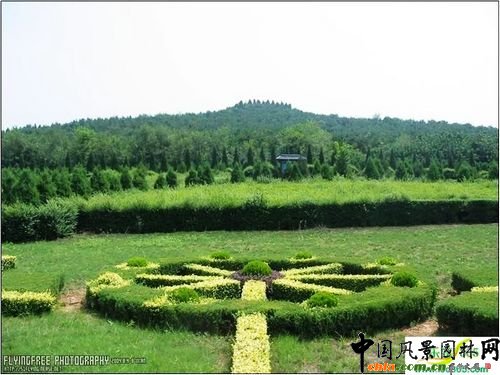 ��ʼ����