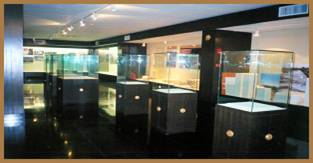 ��Ԫ���zַ����^���Gַ���oչʾ