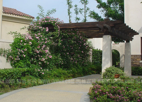 �D8���m��ʥ�ƵľG��Ч��