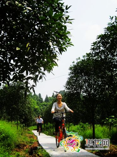 �~�����׌ý�����p����17���_Ļ