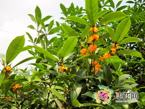 �~�����׌ý�����p����17���_Ļ