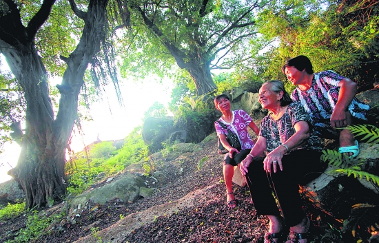 Ȫ�ۣ����š����ֵܡ� �����˘���