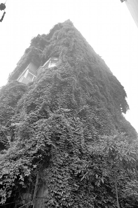 �ɶ���С�^��ɽ��һ�������� ���¡����ڽ�ɽ��