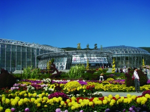 ������ֲ��@�������p�ջ����M�D��