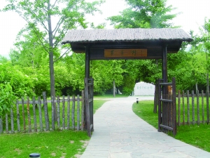 ������ֲ��@�������p�ջ����M�D��