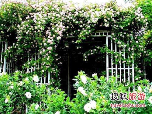 ��������õ���