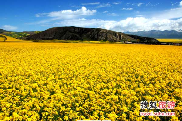 �ຣ�TԴ�Ͳ˻�