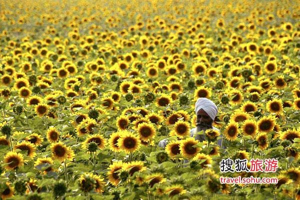 ӡ�����տ��@