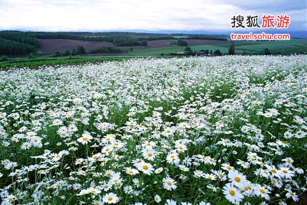 ��ķ˹�ص��r�ջ���