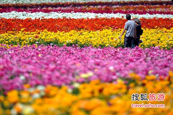 ��������˹�໨��