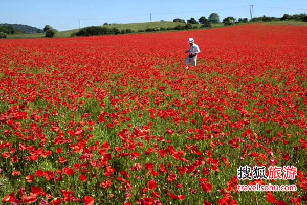 Ӣ����˹�ؿ�ؐ��������ڻ���