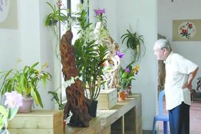 �B�T(m��n)���󹫈@���^(q��)�Ƴ�ϵ�о��ʻ��(d��ng) 