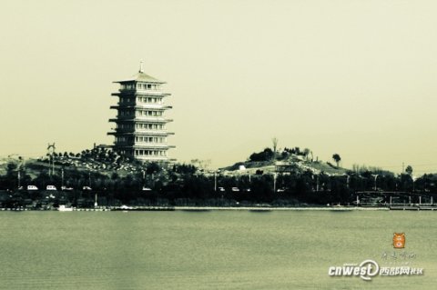 �����L����