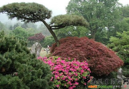     ֲ�ﾰ�^�S���r(sh��)�g�a(ch��n)��׃���������γ��S���Ą�(d��ng)�B(t��i)���^׃����ֲ��׃���п��������a(ch��n)����ҹ׃��������׃