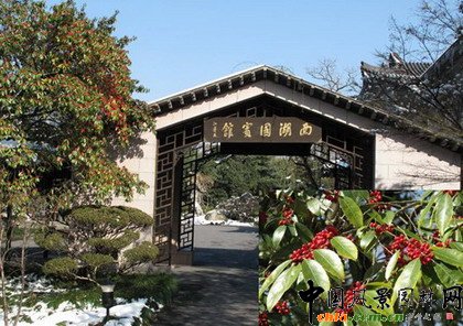 �@ұՓ������־������ֲ�ﾰ�^�ărֵ�������v