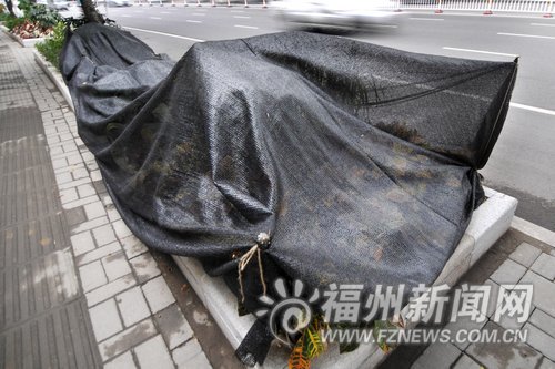 ���h·�L�ڳǌ��滨����,�@�ֹ����ˆT�o�º�ֲ�������˷�˪�ĺڲ���