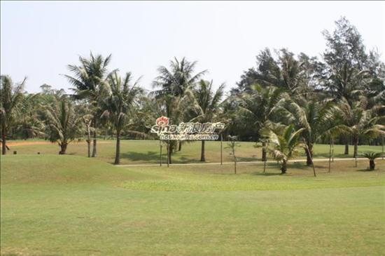 社區(qū)實(shí)景