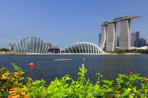 風(fēng)景園林 新加坡 超級樹