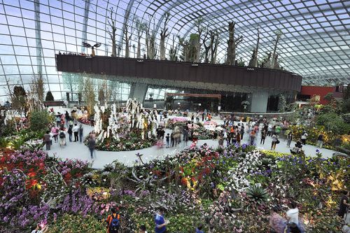 風景園林 新加坡 超級樹