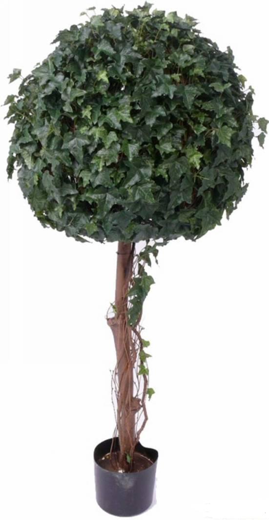 造型 植物 常春藤